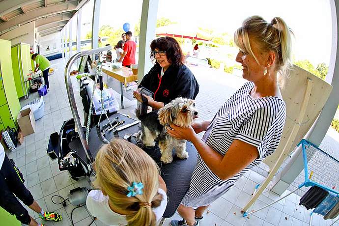 Hundebadetag der Stadtwerke Bayreuth