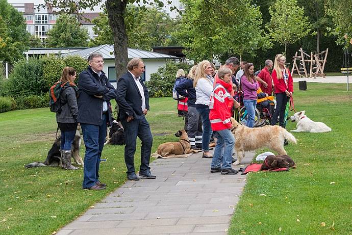 Hundebadetag der Stadtwerke Bayreuth