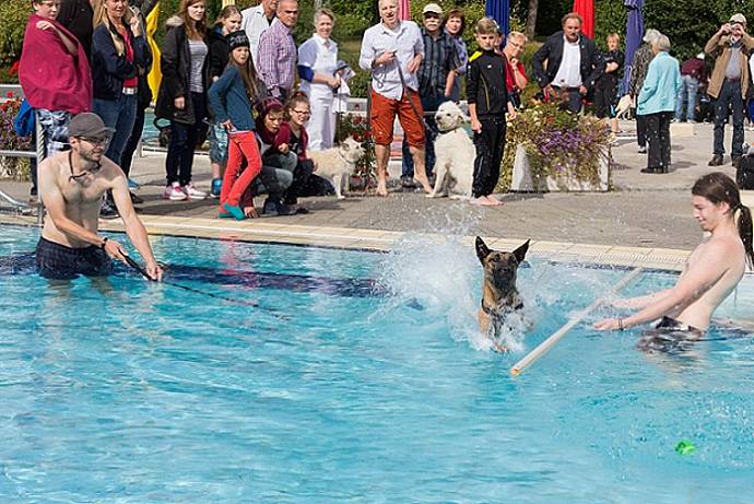 Hundebadetag der Stadtwerke Bayreuth