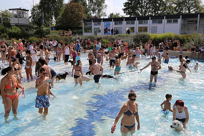 Hundebadetag der Stadtwerke Bayreuth im Kreuzsteinbad Hundebadetag 2016: Ein voller Erfolg!