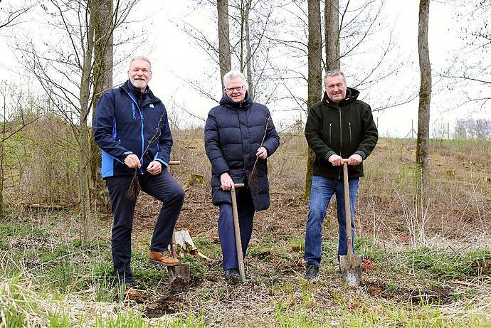 Stadtwerke Bayreuth bringen Auenwald zurück