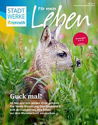 Guck mal Ehrensache (Magazin der Stadtwerke Bayreuth)