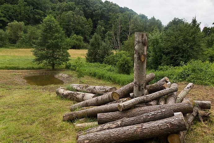 Stadtwerke Bayreuth setzen sich für die Natur ein