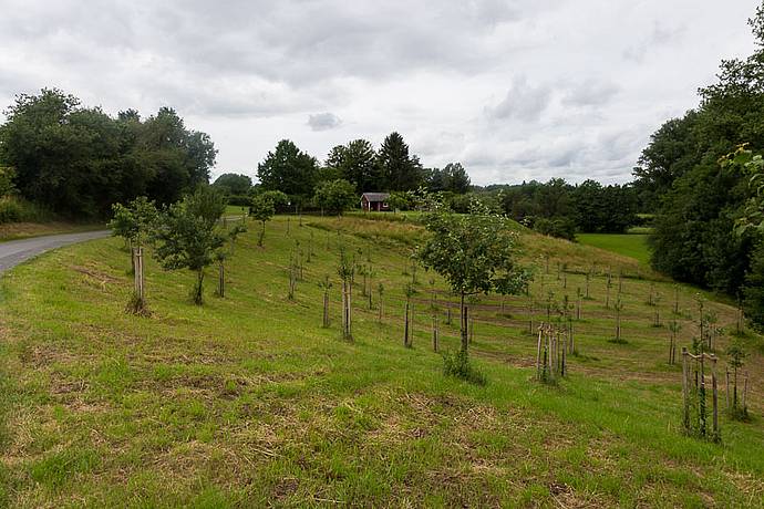 Stadtwerke Bayreuth setzen sich für die Natur ein