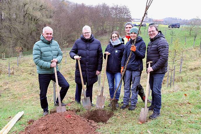 Stadtwerke Bayreuth stärken Artenvielfalt und pflanzen 40 weitere Obstbäume.